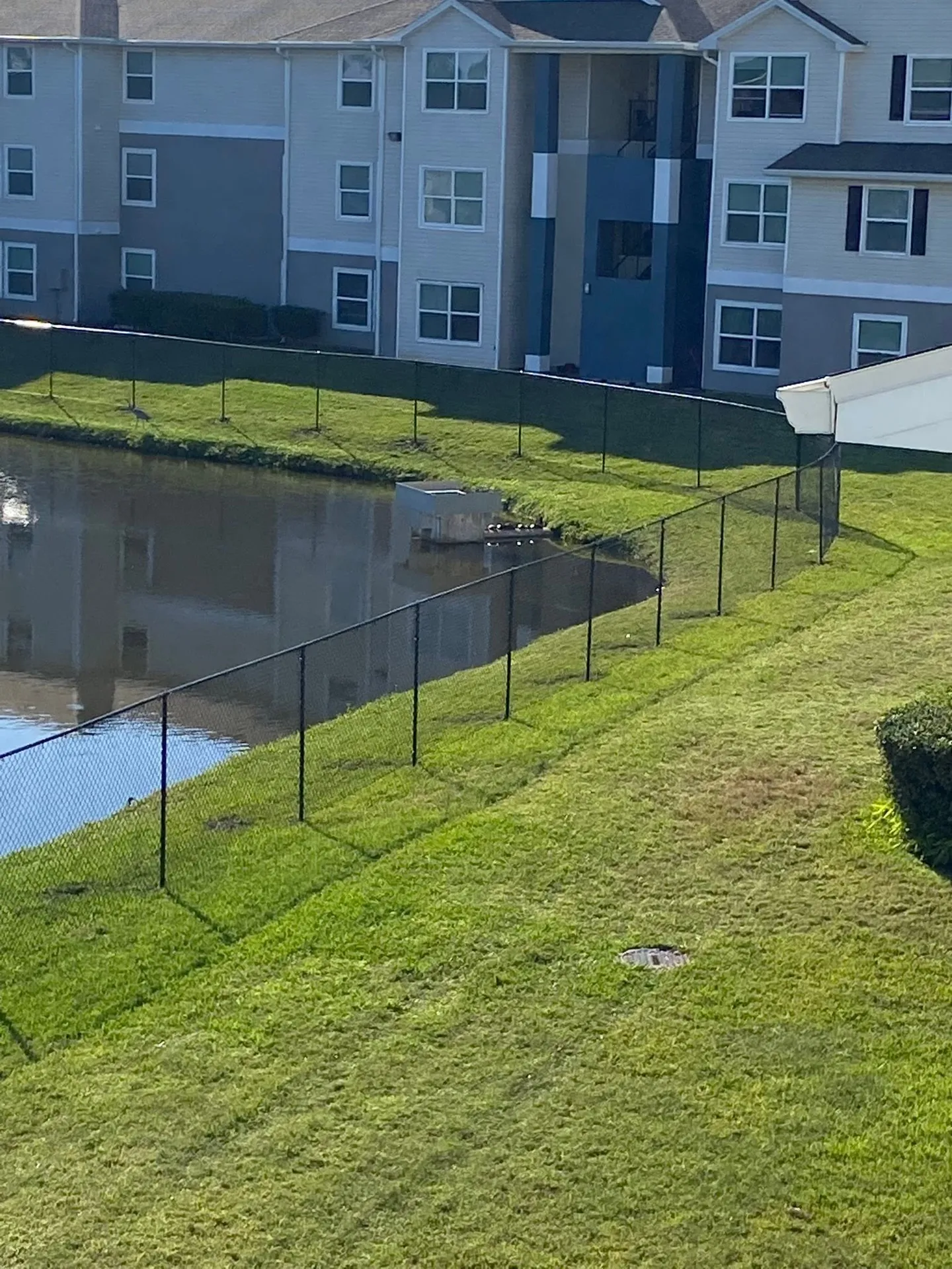 Dark chain-link fence beside a pond.